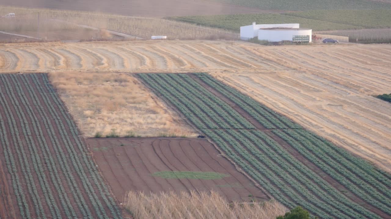 File di coltivazioni e una fattoria bianca a Granada. Concetto di vita rurale e agricoltura sostenibile