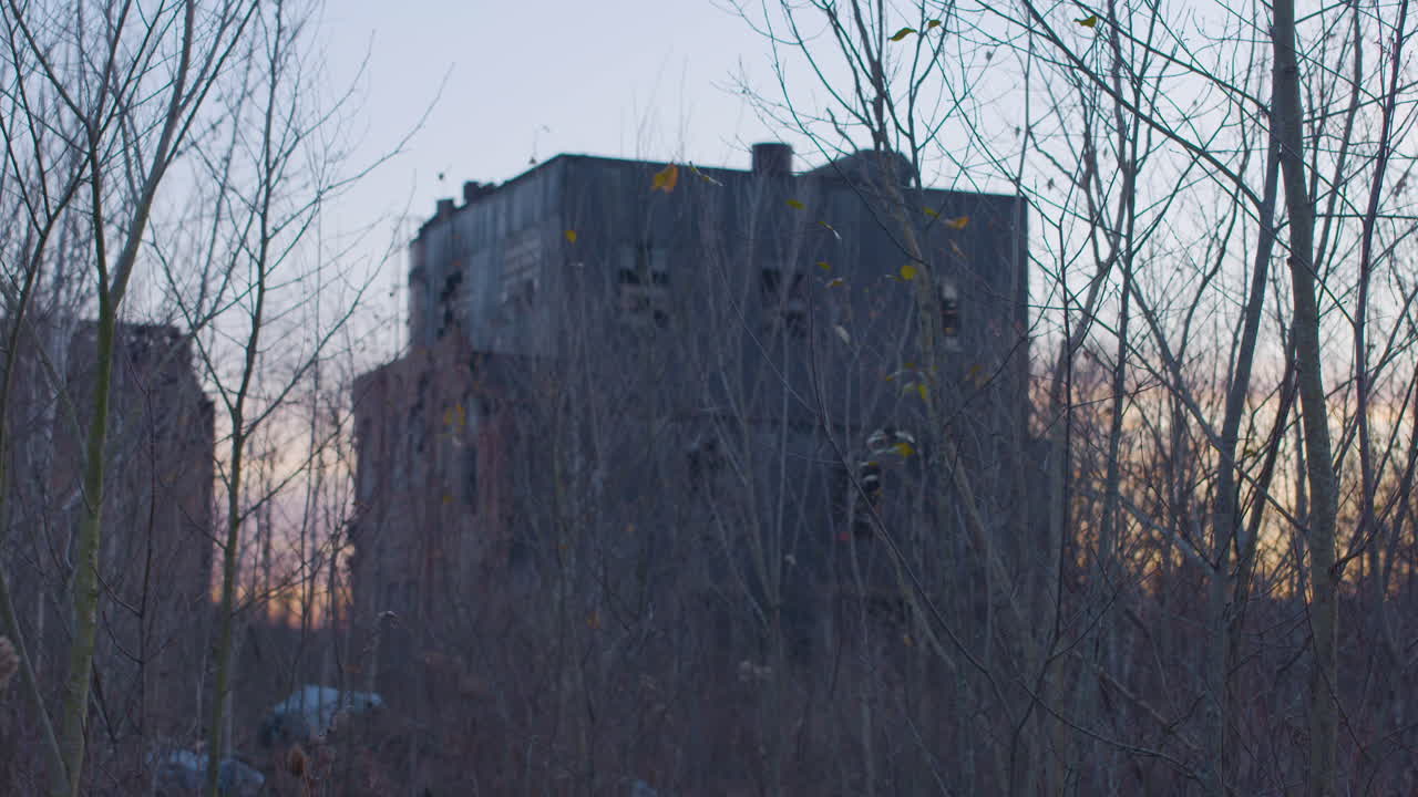해가 지면서 죽은 잎으로 둘러싸인 버려진 산업 건물