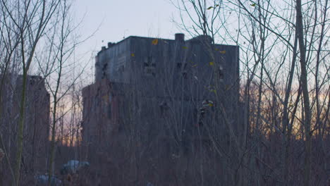 abandoned industrial building surrounded by dead foilage at sunset