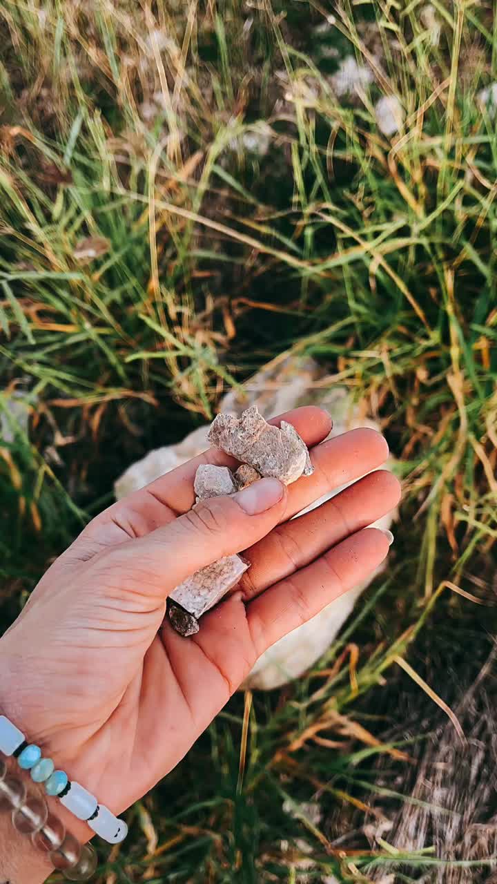 자연에서 작은 바위를 들고 있는 손