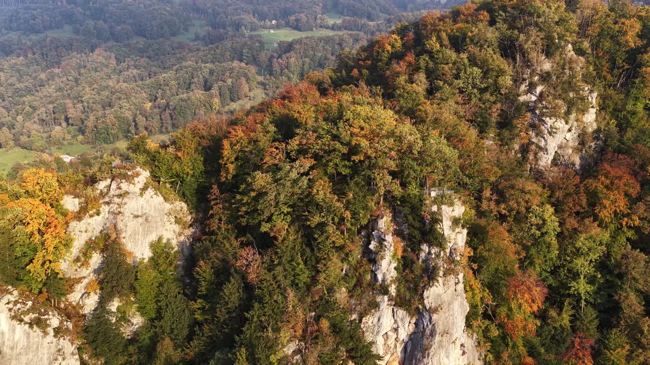 Aerial panning shot over colorful autumn mountains near Walensee, Switzerland, showcasing forest textures and rocky cliffs