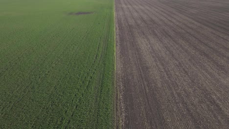 Aerial-shot-capturing-green-fields-and-soil-land-during-daytime