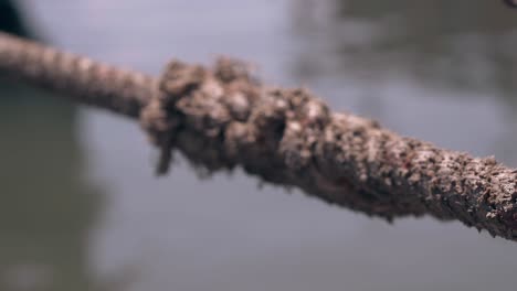 rope-stretched-over-water-and-fishing-rod-with-line-closeup
