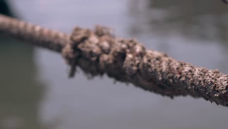 rope stretched over water and fishing rod with line closeup