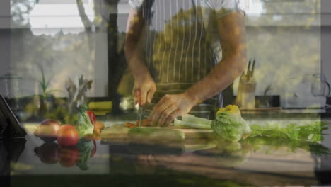 chopping vegetables in kitchen, person seeing outdoor garden reflection on window