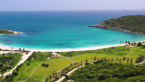 the tropical paradise of the half moon bay beach on the island of antigua enclosing a turquoise blue caribbean sea on a sunny summer day, white sand beaches and a palm alley, aerial scenic view 4k