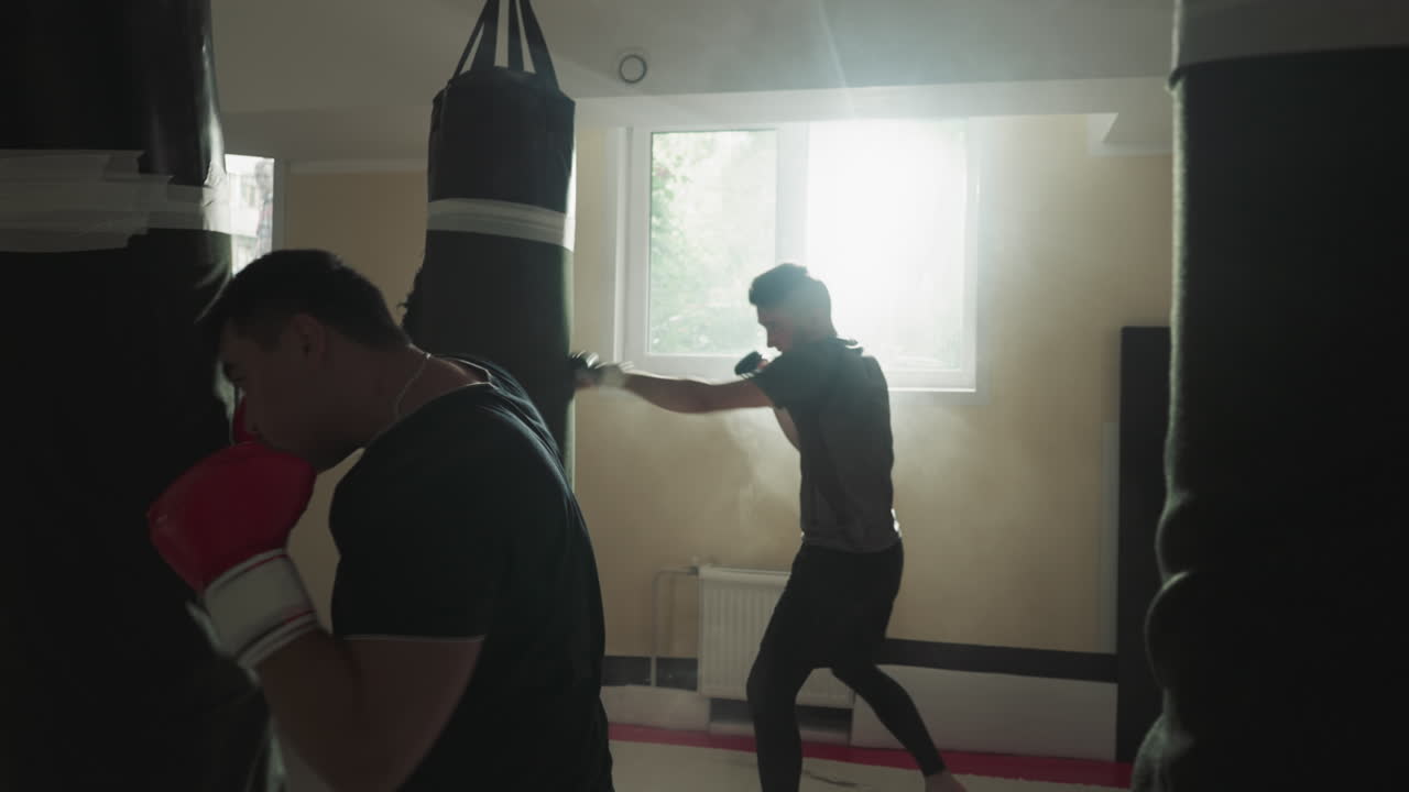 MMA fighters exercise with punching bags in gym. Combat arts students train punches and kicks in sunny sports club slow motion. Self-defence techniques