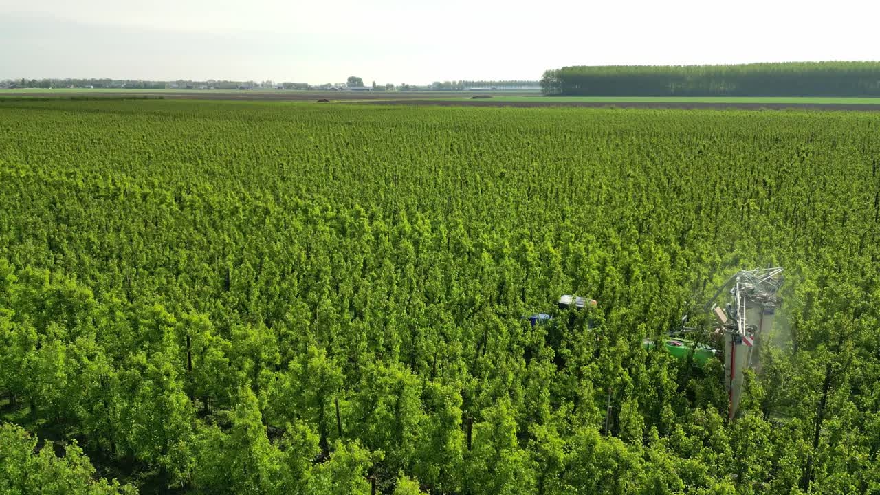 un jardinero conduce a través de su huerto de peras y rocia productos de protección de cultivos