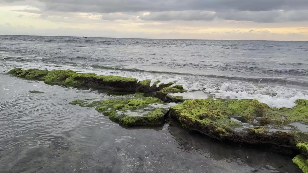 Onde calme dell'oceano che scorrono su rocce verdi e muschiose sulla costa