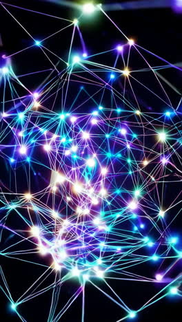 Abstract Network Connectivity Visualization