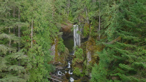 flight through gifford pinchot national forest towards section falls creek falls tumbling over rocky cliff.