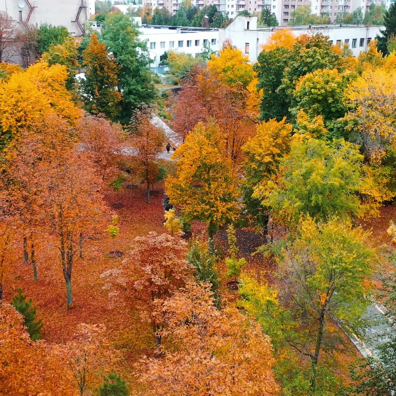 Beautiful multi-colored trees in the city park in autumn. Multi-storied buildings at backdrop. Aerial perspective