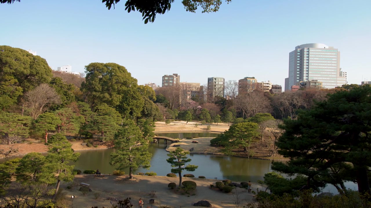 Plano geral de um sereno jardim japonês com um lago e arranha-céus em Tóquio.