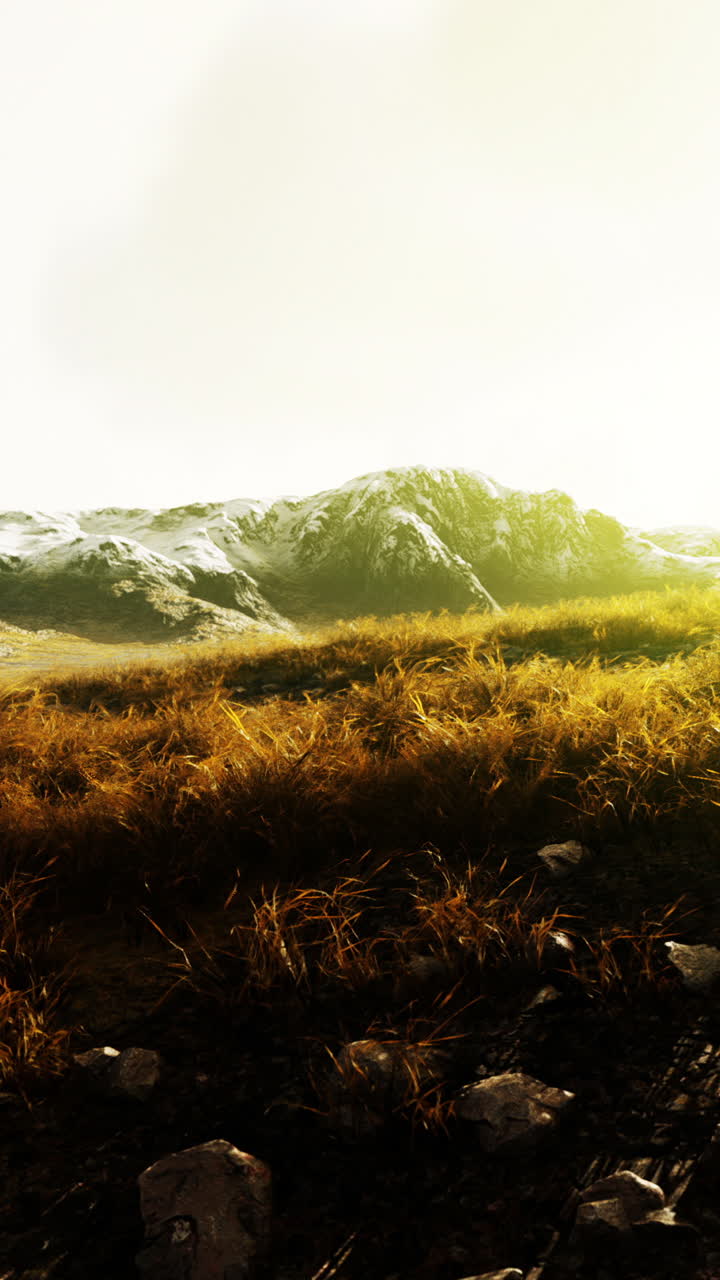 paisaje montañoso sereno con hierba amarilla