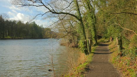 narrow trail on the shore of etang saint nicolas lake in angers, france