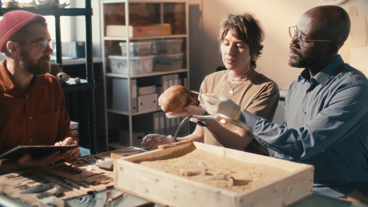 equipo de arqueología discutiendo cráneo y tomando notas durante la investigación de laboratorio