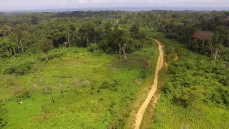 aerial drone view of a small sand road, in the jungle, on a sunny day, in nanga eboko forest, haute-sanaga, southern cameroon