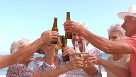 group of mature people clinking bottles