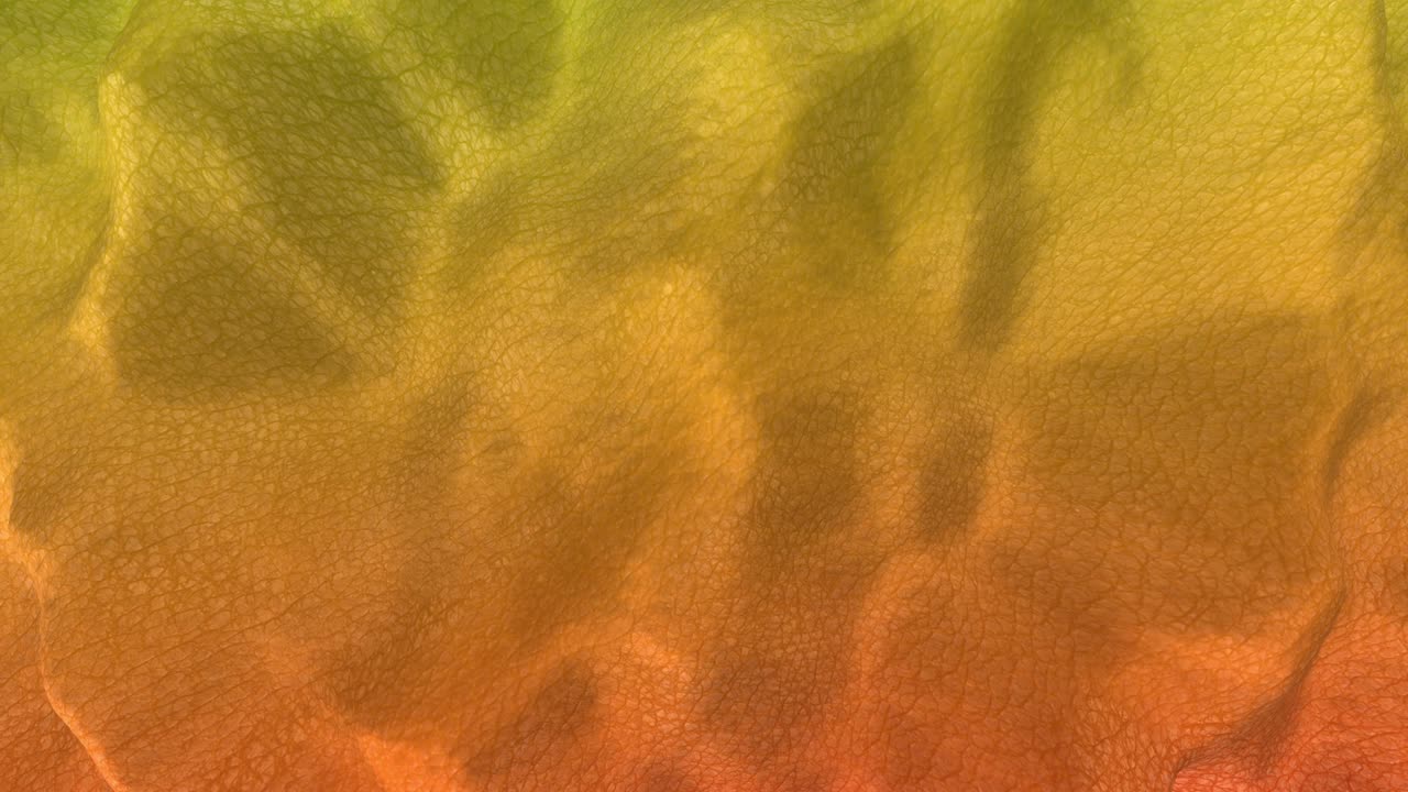 Stretching up and down light reptile skin.