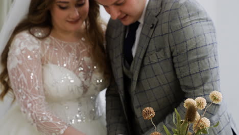 Bride-and-groom-cutting-the-wedding-cake