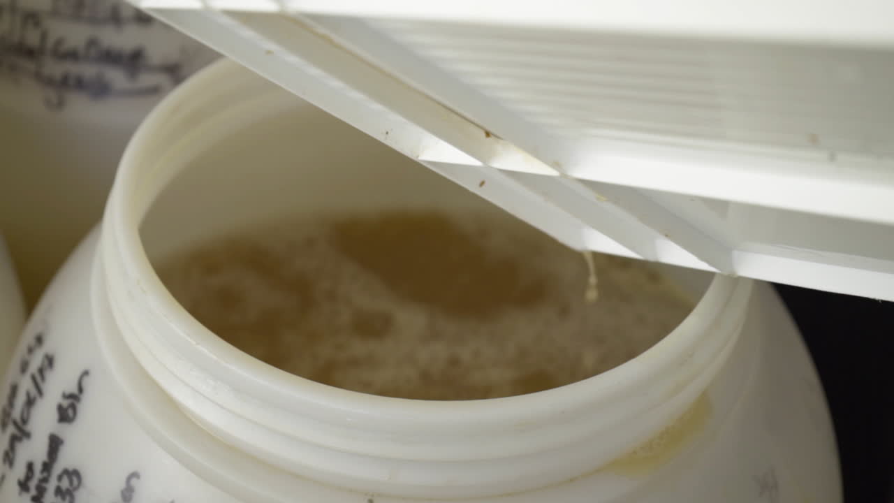 la sidra de manzana recién prensada se vierte en un barril de plástico para la fermentación