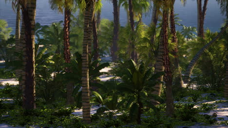 Paradise-landscape-of-tropical-beach-with-calm-ocean-waves-and-palm-trees