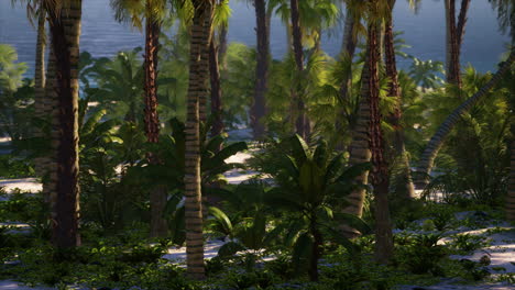 paisaje paradisíaco de playa tropical con olas tranquilas del océano y palmeras