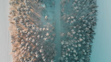 Aéreo,-De-Arriba-Hacia-Abajo,-Disparo-De-Drone,-Sobre-Una-Carretera-Y-Una-Torre-De-Vigilancia,-En-Medio-De-Un-Bosque-De-Pinos-Nevados,-En-La-Costa-Del-Lago-Saimaa,-En-Un-Atardecer-Soleado-De-Invierno,-En-Vuoniemi,-Pohjois-karjala,-Finlandia