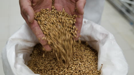 man grabbing seeds on hand