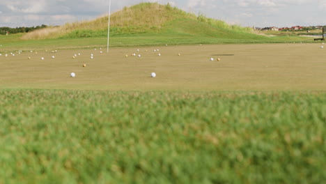 balls on the grass of the golf course.