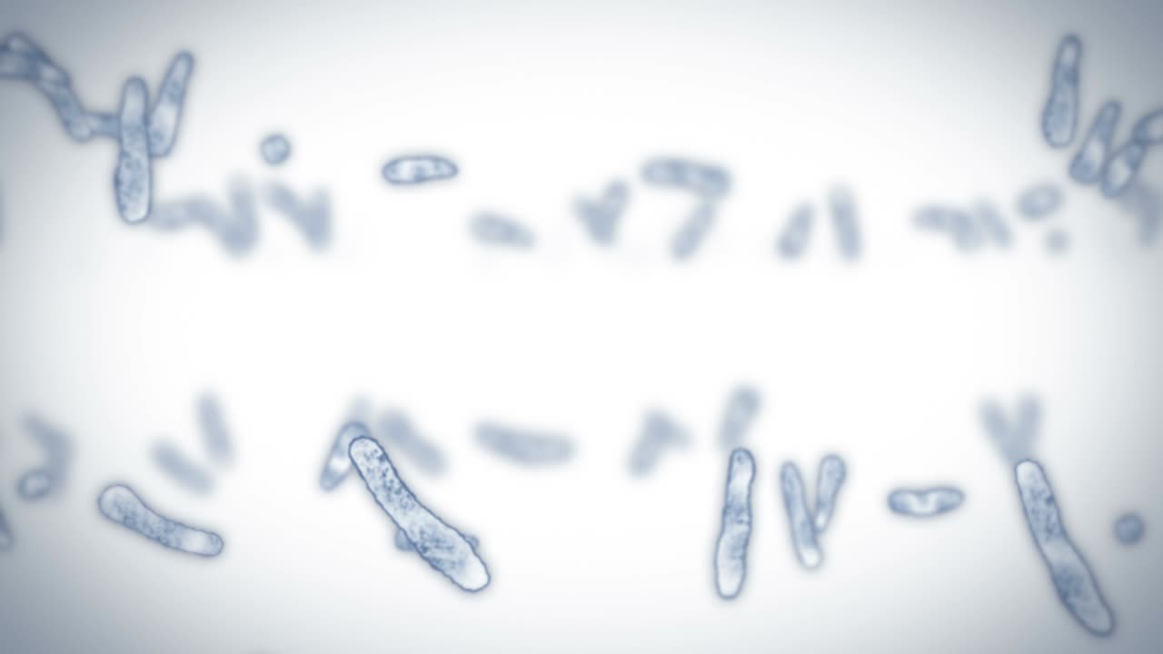 virus de célula en forma lineal. virus patógenos que causan infección. animación en bucle de virus humanos. microorganismo bacteriano. brote de enfermedad viral.