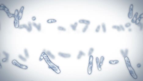 virus de célula en forma lineal. virus patógenos que causan infección. animación en bucle de virus humanos. microorganismo bacteriano. brote de enfermedad viral.