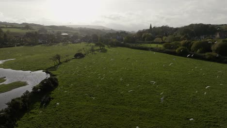 Ruswarp-Dorf-Fluss-Esk-Whitby-Vögel-Fliegen-Nord-Yorkshire-Luftlandschaft