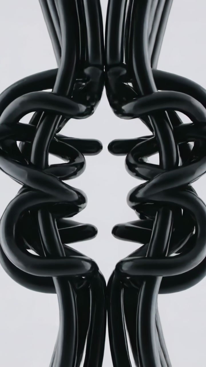 Abstract Black Glossy Lines Intertwining and Forming a Symmetrical Shape