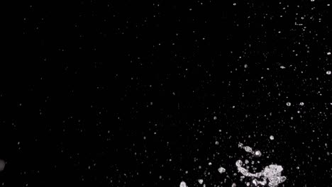 splattering water on a black background