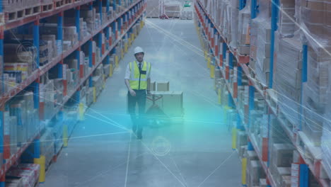 warehouse worker pulling a trolley