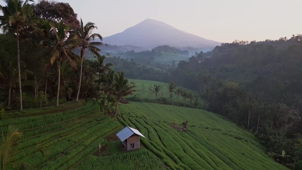 In Bali, Belimbing Rice Terrace glows green at sunrise. Drone aerial shots highlight the soft mist, rolling terraces, and peaceful rhythm of rural life in early light.