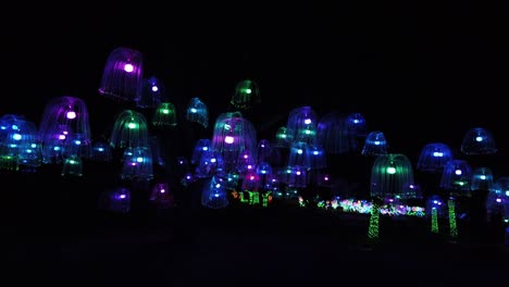festival de iluminación led en el parque tonos claros de medusas