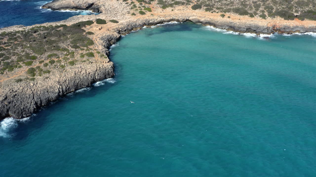 gaviota volando en círculos sobre las aguas de la bahía de cala varques, mallorca