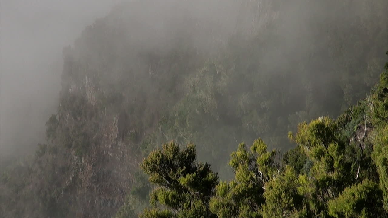 안개 가 가득 한 산악 풍경