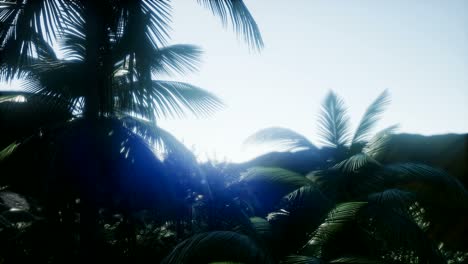 Mountain-and-Field-Landscape-with-Palms