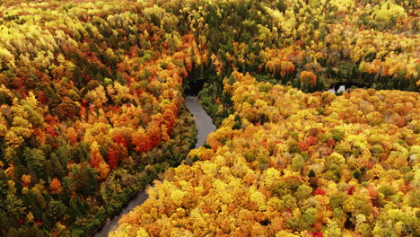 El-Valle-Del-Río-Sturgeon-En-Pleno-Color-Otoñal-En-La-Península-Superior-De-Michigan