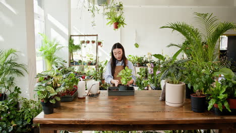 mujer repotando plantas en una tienda de plantas