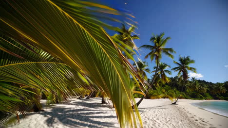 el paraíso de las playas tropicales