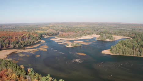 au sable river in michigan during fall colors with drone video moving down