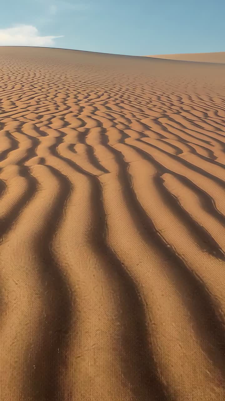 Video verticale: registrazione, camera che avanza e si muove sulle increspature del deserto verso la duna, mostrando la texture