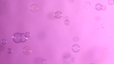 blue and clear soap bubbles on light pink background a lot of blue and clear soap bubbles isolated on light pink background