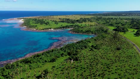 aerial drone shot of road with palm trees and coral reef snorkel spot holiday travel tourism port vila efate pacific islands vanuatu 4k