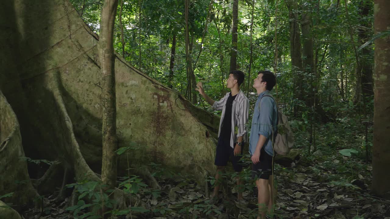 Tour Guide Explaining About Forest To Tourist, Slow Motion
