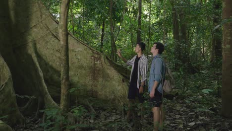 Tour Guide Explaining About Forest To Tourist, Slow Motion